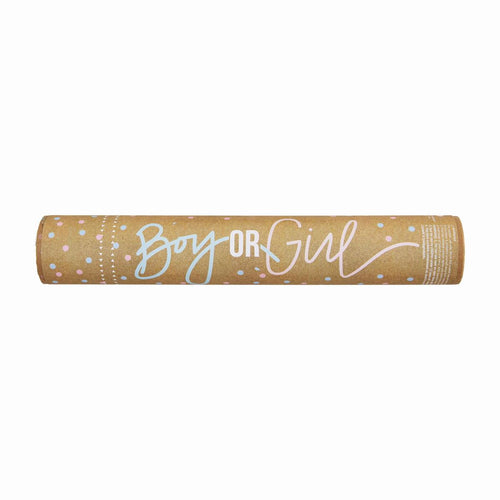 MUD PIE BLUE GENDER REVEAL POPPER