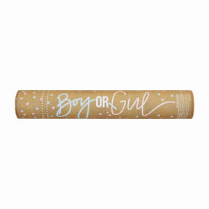 MUD PIE BLUE GENDER REVEAL POPPER