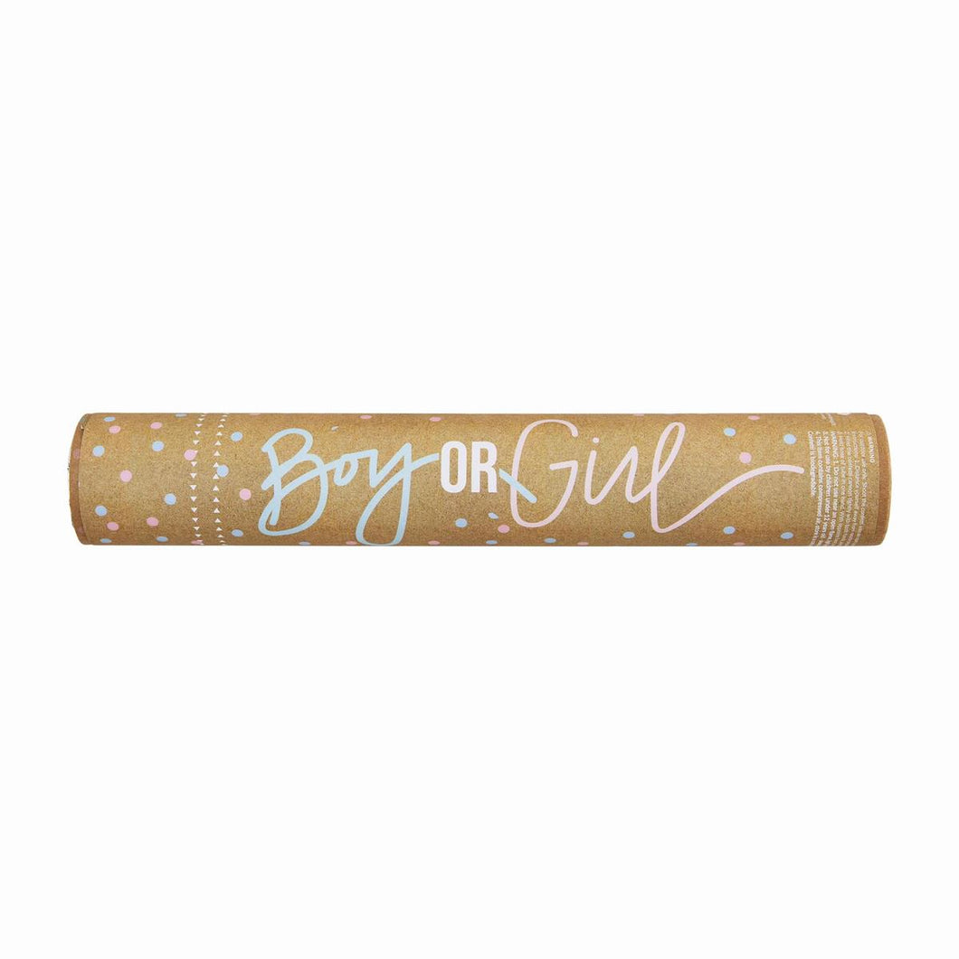 MUD PIE BLUE GENDER REVEAL POPPER