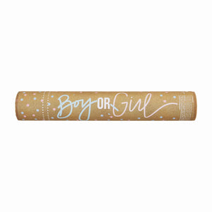 MUD PIE PINK GENDER REVEAL POPPER