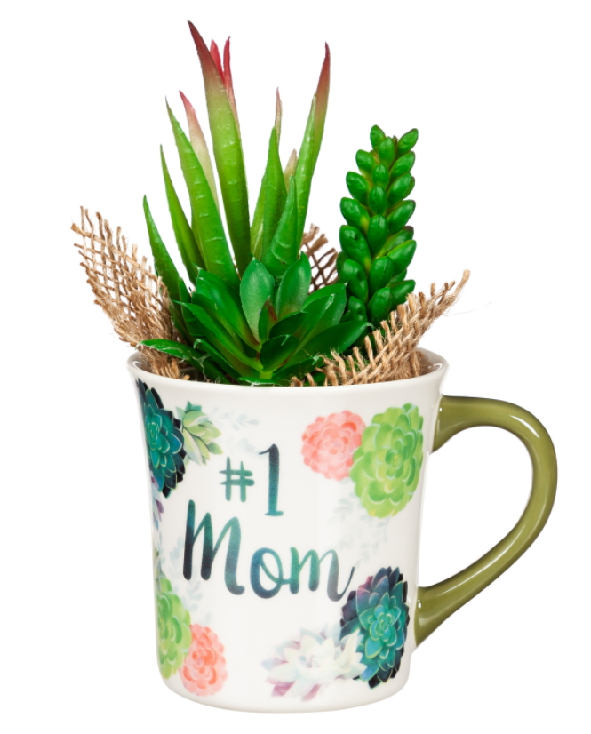 Evergreen #1 Mom Coffee Cup and Succulent Gift Set 8 OZ