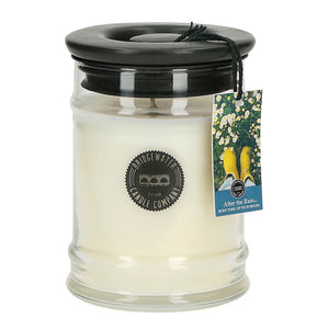 Bridgewater Candle Company After the Rain Small Jar Candle