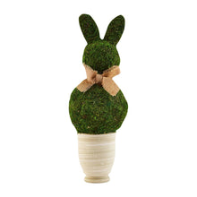Load image into Gallery viewer, MUD PIE LARGE PRESERVED MOSS BUNNY POT