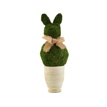 Load image into Gallery viewer, MUD PIE SMALL PRESERVED MOSS BUNNY POT