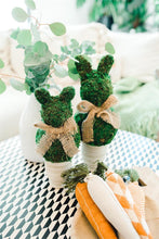 Load image into Gallery viewer, MUD PIE SMALL PRESERVED MOSS BUNNY POT