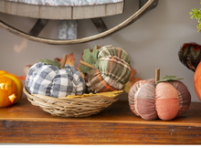 Load image into Gallery viewer, Evergreen Assorted Plush Pumpkins Table Décor
