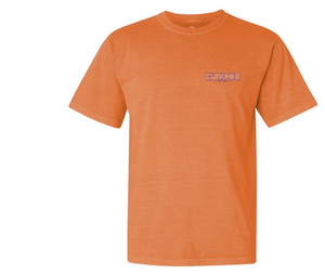 Tigertown Graphics Clemson University Under the Lights T-shirt