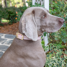 Load image into Gallery viewer, MARY SQUARE GATHERED GOODS BLUSH DOG COLLAR